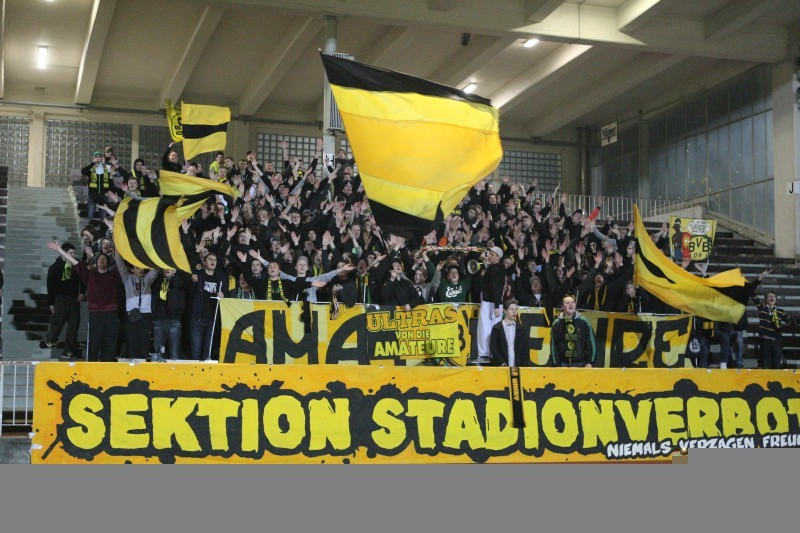 bvb sportfreunde lotte bvb sportfreunde lotte