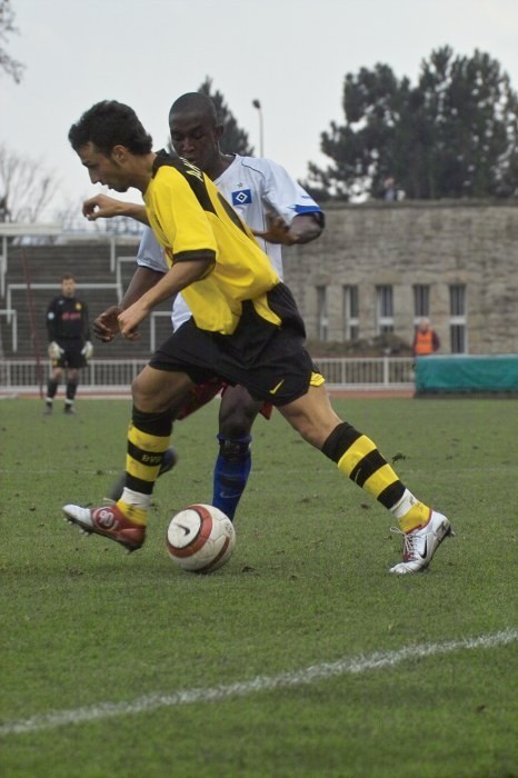 Hsv Amateure Hsv Amateure