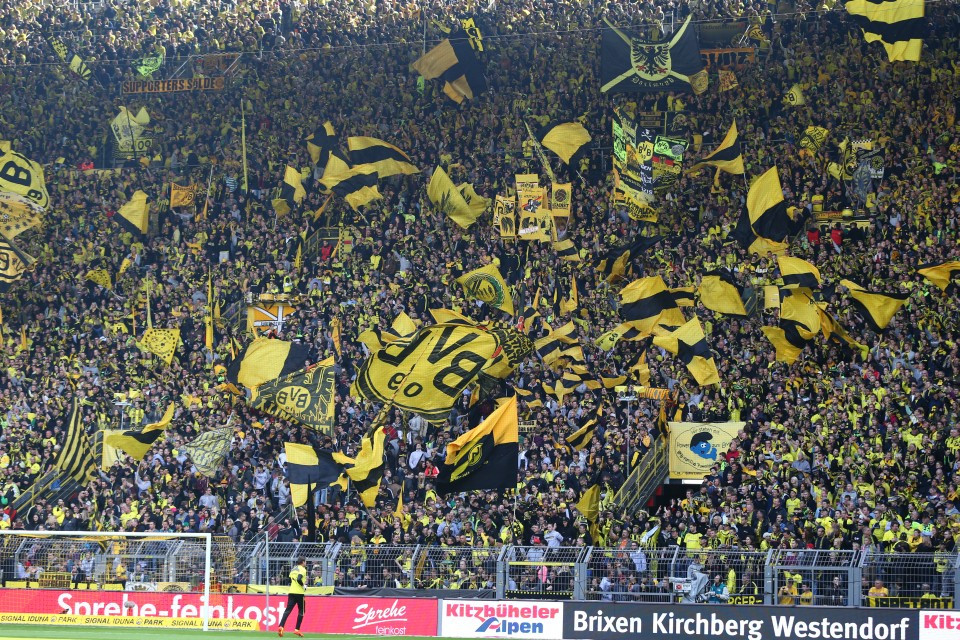 Bvb Tsg Bvb Tsg