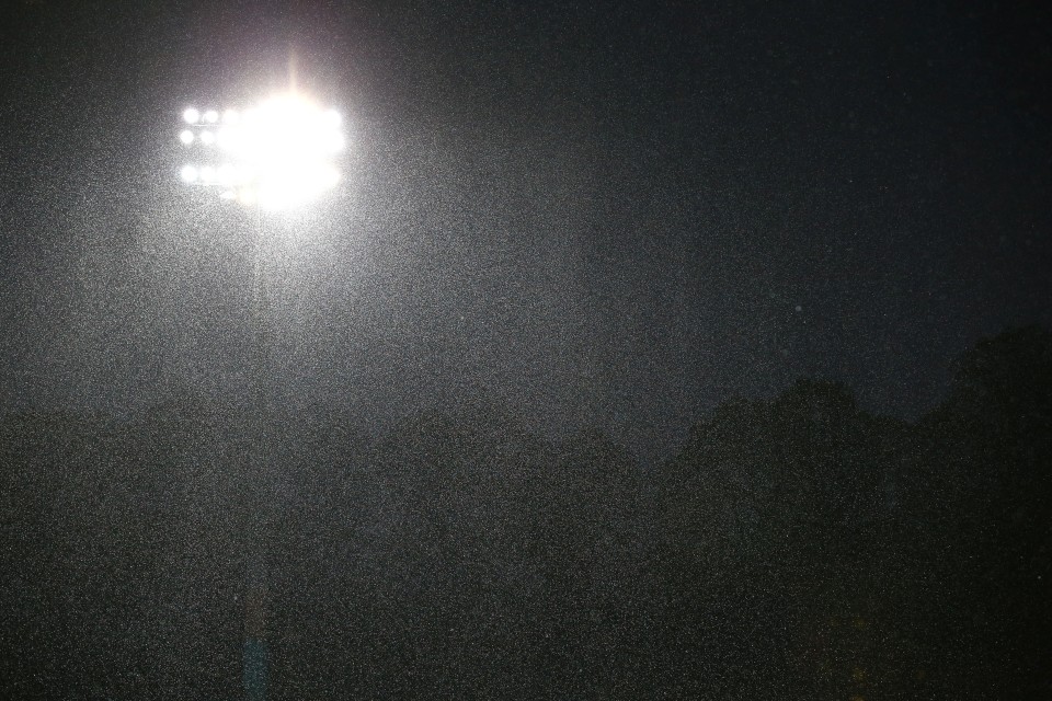 Regen